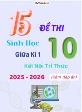 Tuyển tập 15 Đề thi giữa kì 1 năm học 2025-2026 môn Sinh học 10 KNTT (Kèm đáp án)